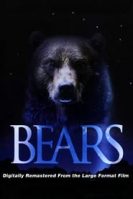Bears (2004)