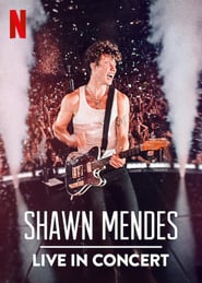 Shawn Mendes: Live in Concert (2020)